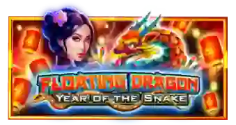 PP电子-蛇年，浮龙